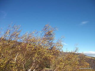 llone monte Zappinazzo-04-11-2012 10-05-56